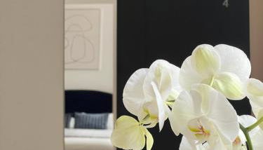 Situation exceptionnelle HARMONY III - Foto 5