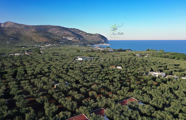 Holiday Apartment Orchidea With Swimming Pool and Private Beach -3 - Foto 75