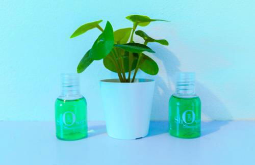 La Coccinella di Susà - Foto 27