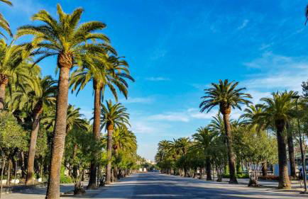 SBT centro - Foto 32