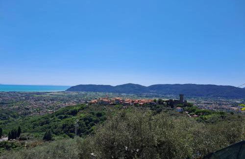 La Maestà di Alice - Foto 45