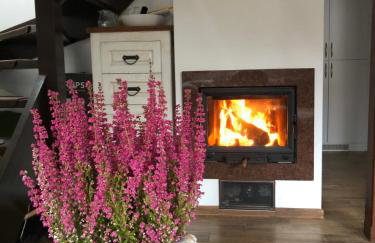 Lesne Domki VIP - Foto 10