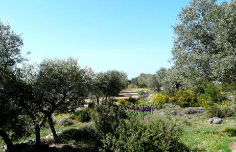 luxury mas with private infinity pool in the heart of the alpilles, 10 persons - Foto 15