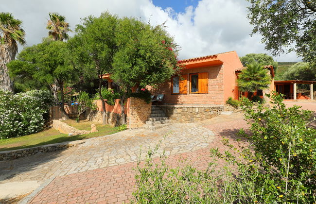 Bouganville - Foto 3