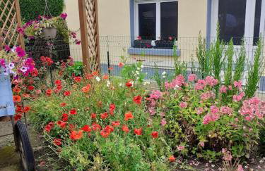 Maison charmante à Saint-Blimont avec jardin - Foto 18