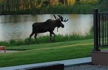 SkyWater Cabins - Foto 2