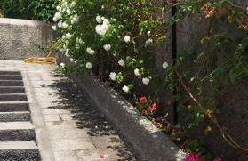 Paraiso das Flores - Foto 9