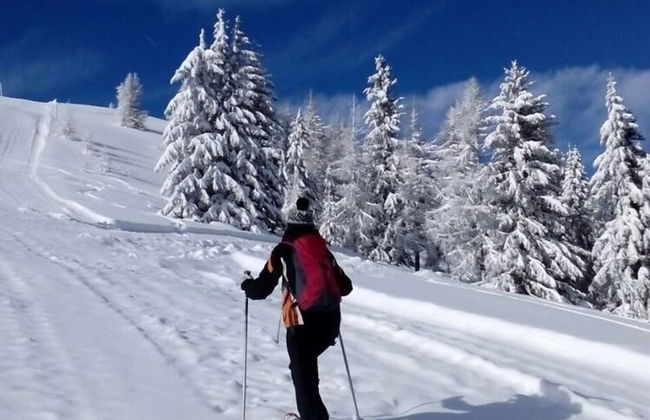 Holiday Home in Bad Kleinkirchheim - Photo 46