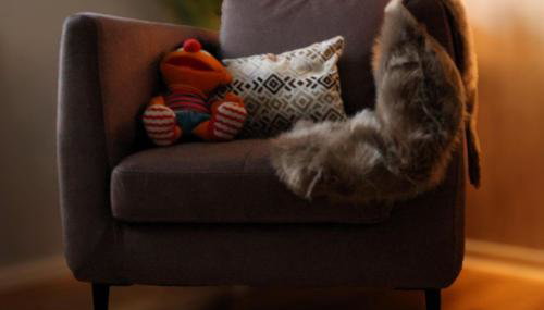 Fewo Sonnblick - Photo 4