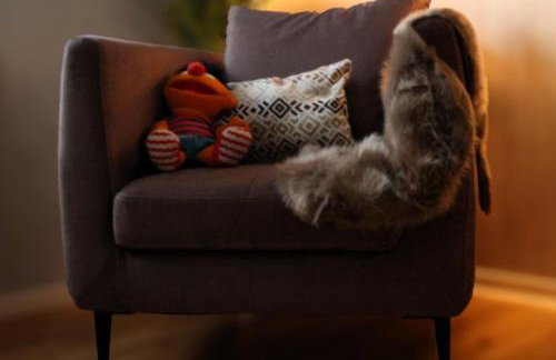 Fewo Sonnblick - Foto 4