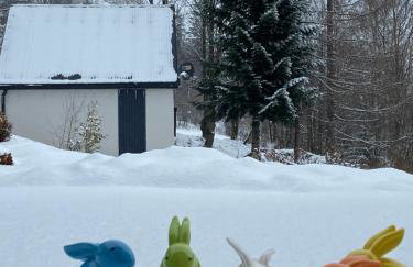 Cerla Korbielów - Domek dla Dwojga - Foto 77