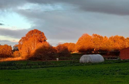 Casa Telmo - Foto 75