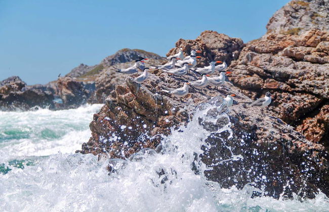 Escursione a Playa del Amor - Foto 5