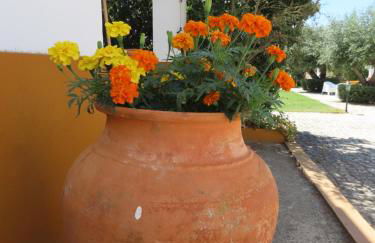 Monte Além Tejo - Foto 18