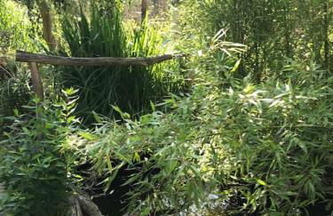 Unser Studio-Apartment "Wohlfühloase" - Foto 38