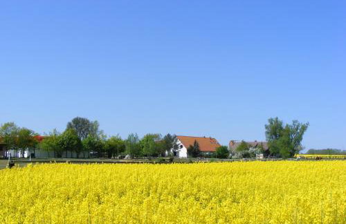 FEWO Reitanlage bei Altefähr - Foto 40