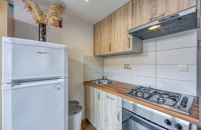 Spa Apartment Tinca - Foto 7