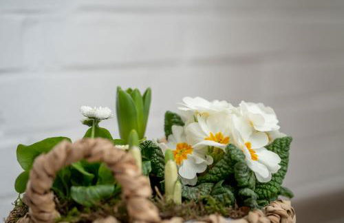 FeWo Paulsen Schobüll - Foto 28