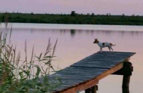 NEU! Ferienwohnung Ahlbeck - Stettiner Haff - Foto 10