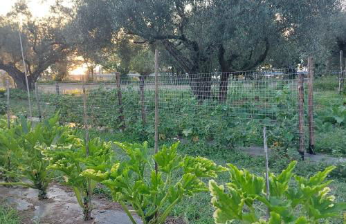 Orto delle Fate - Foto 61