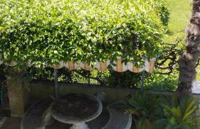 Mansarda al mare - Photo 20