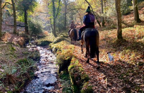 Pardlestone Farm – Self-Catering Cottages - Foto 89