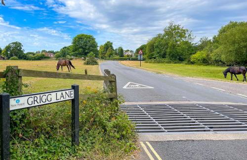 Forest Acorn - Foto 30