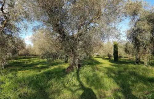 Namaste - Mare, Lago di Bolsena e Terme di Vulci - Foto 28