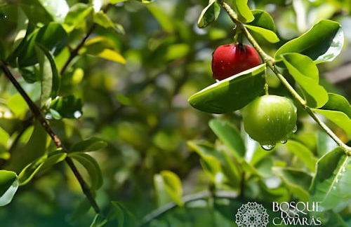 Refugio Aldeia dos Camarás - Foto 65