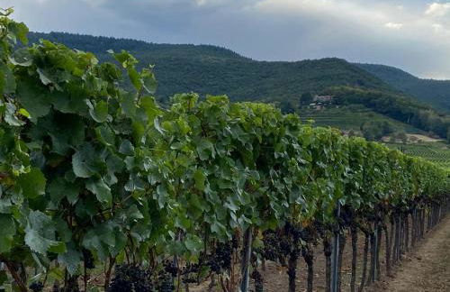 HALBSTÜCK - Ferienwohnungen am Kropsbachpark - Foto 21