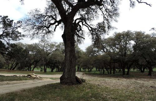 Peaceful Pet-Friendly Cabin Rental in San Antonio Countryside, Texas - Foto 19