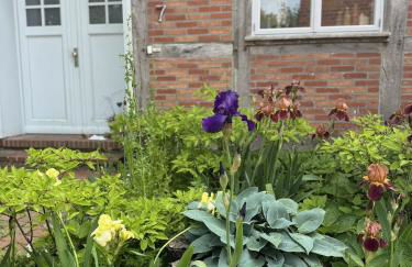 Kutscherremise Gut Niendorf - ABC592 - nur Feriengäste! - Foto 20