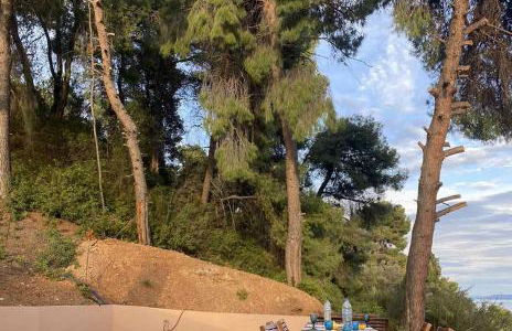 Askalosia villa - Foto 11