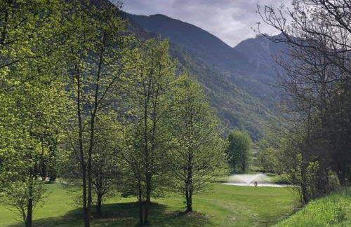 Anna nel verde - Foto 37