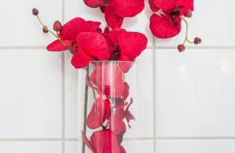 Gästehaus Herb - Photo 25