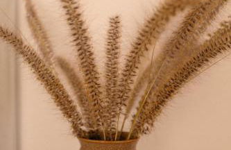 Portugal Alma Villa Algarve - Luxury Villa with Private Pool - Photo 50