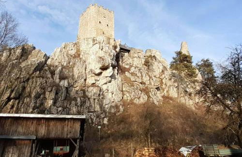 Susanne - forest holiday village - Foto 28