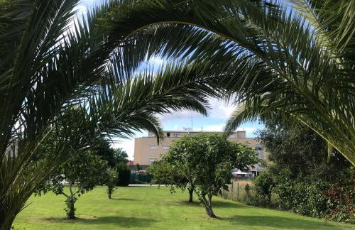 Apartamentos Olga Cantabria - Foto 41