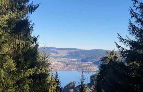 Schwarzwald-Villa mit Indoor-Pool - Foto 19