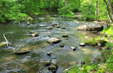 Grubschützer Ferienhäuschen - Foto 20