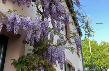 Ferienweingut Matthias Löwen - Foto 27
