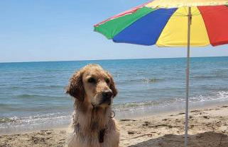 Agriturismo La Stornara - Foto 67