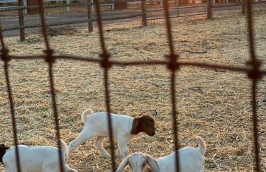 Black Barn Ranch Hill Views Downtown Close - Foto 46