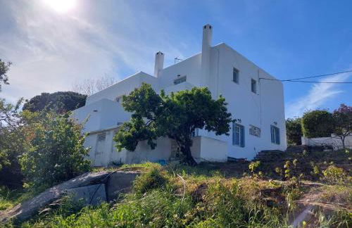 Palaiokrassa sunny appartment - Foto 22