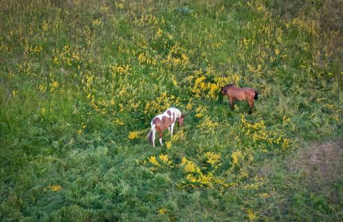 Holiday Home Mountain House Volta 1 by Interhome - Foto 20