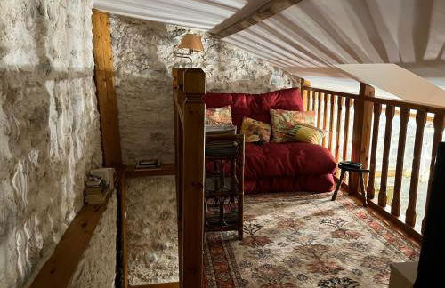 BASIA, Lourdes - centre , quartier historique Sanctuaires a 7 min a pied - Foto 19