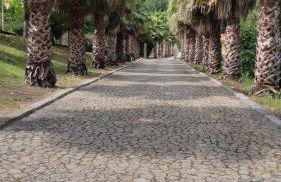 Quinta da Vinha do Souto - Foto 17