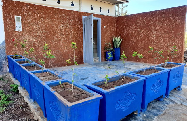 Banana beach house Morocco - Photo 1