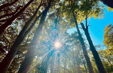 Strandzone 29 - Foto 47