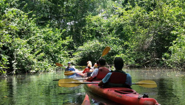 Kayak tour in Cacao Lagoon